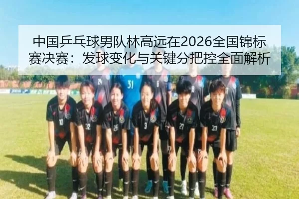 zhong-guo-ping-pang-qiu-nan-dui-lin-gao-yuan-zai-quan-guo-jin-biao-sai-jue-sai-fa-qiu-bian-hua-yu-guan-jian-fen-ba-kong-2-195.jpg